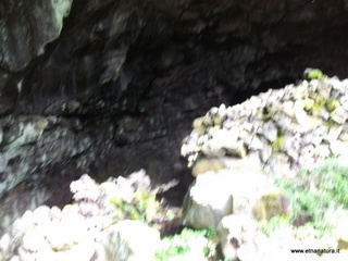 conco di Liricio-24-03-2013 10-22-29